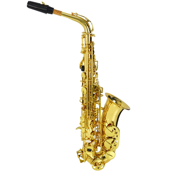 Beginner sax store