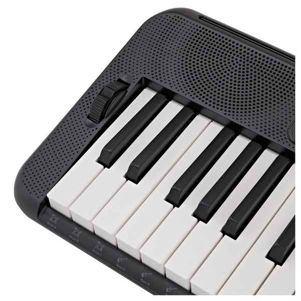 musical casio price