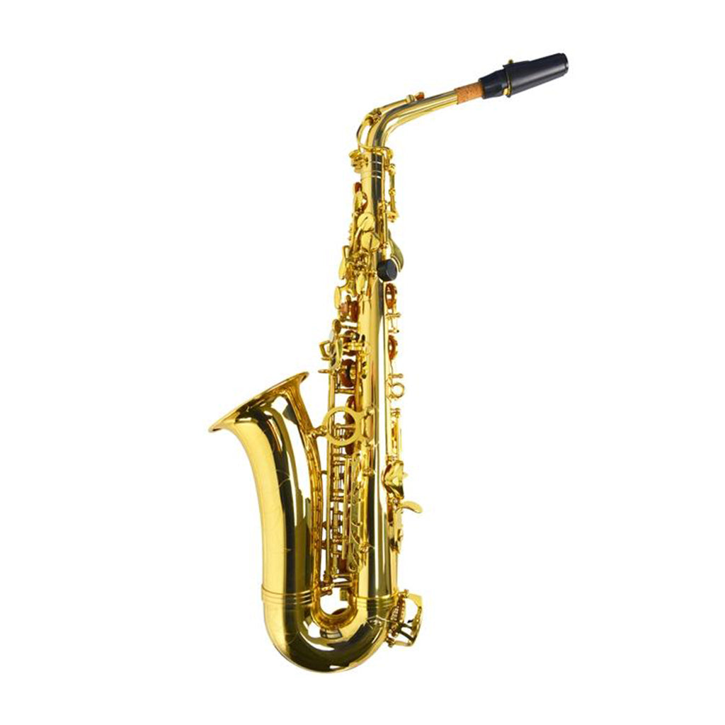 Montreux Beginner Saxophone Package