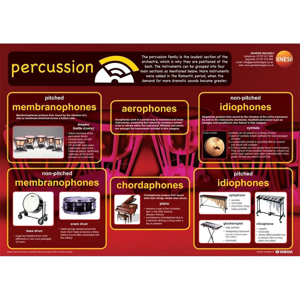 Percussion Instruments - A1 wall poster