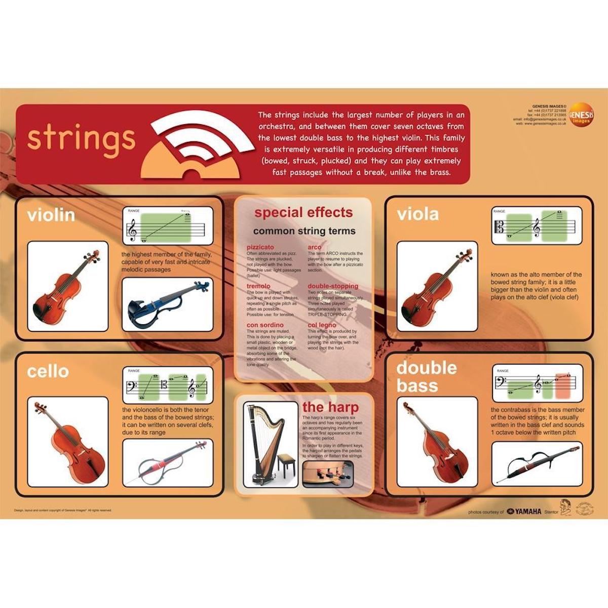 Stringed Instruments - A1 wall poster - UCan Play™