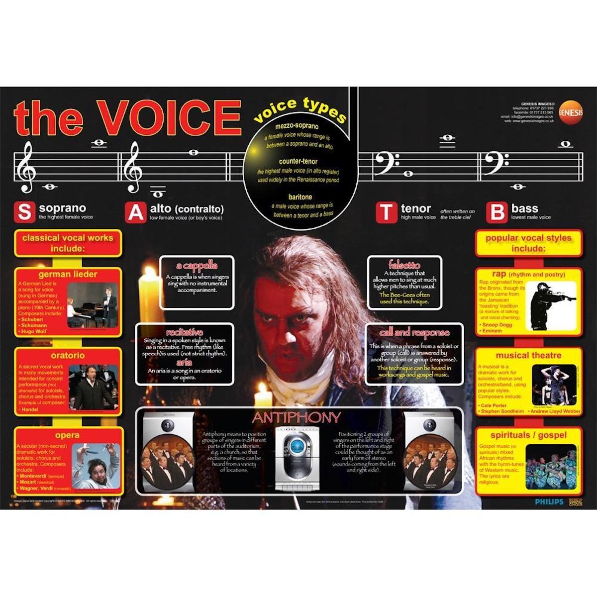 The Human Voice - A1 wall poster